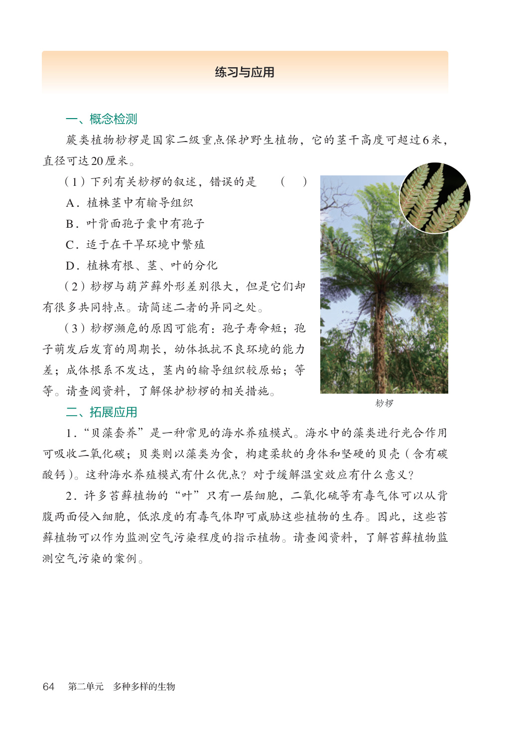 novel_d1bd03ba136d.jpg