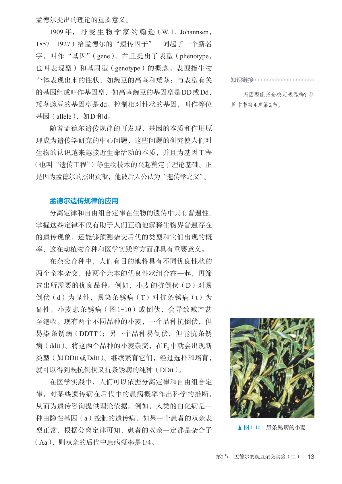 novel_5dd863e02f11.jpg
