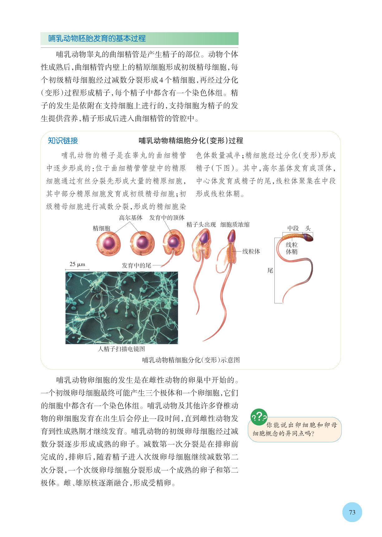 novel_aace0df7160c.jpg