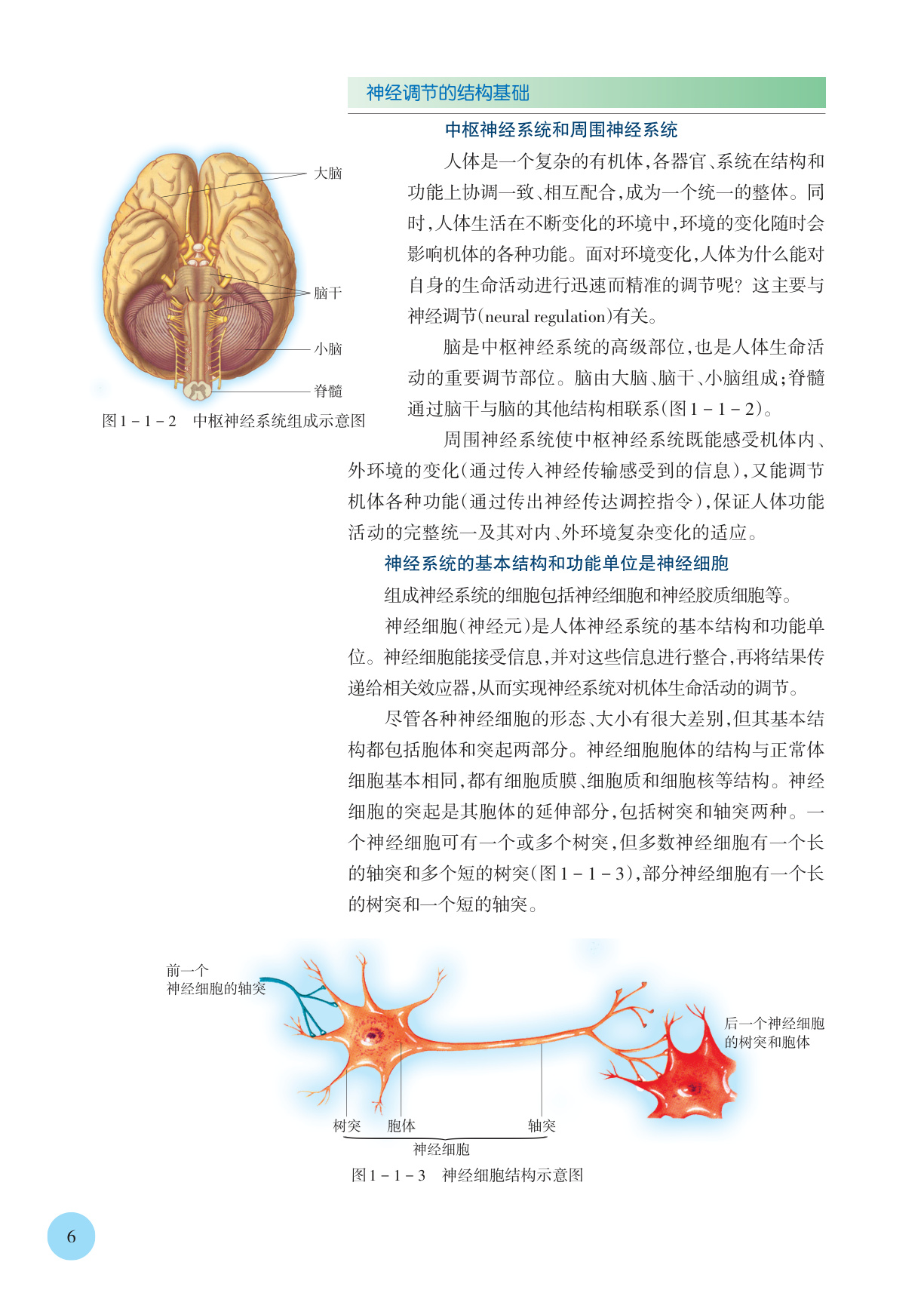 novel_986fc54da125.jpg