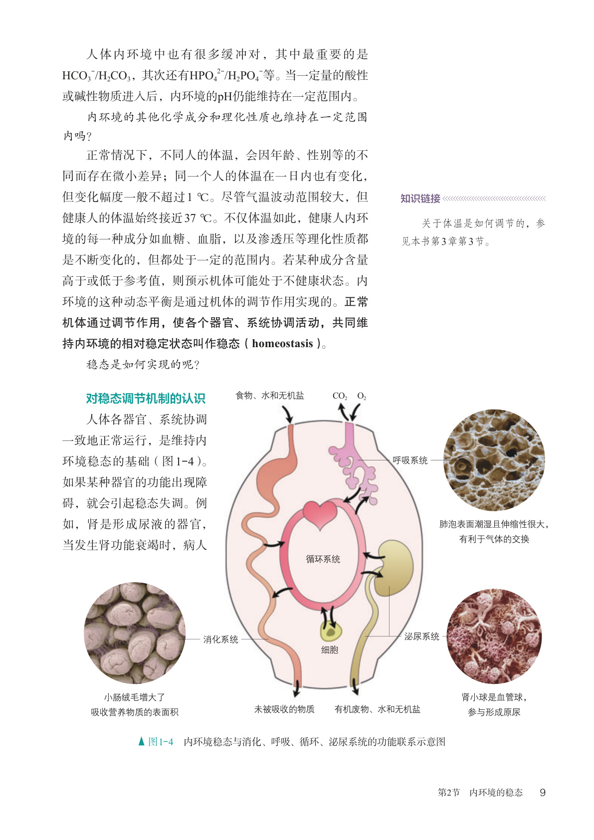 novel_ccb5df4d8057.jpg