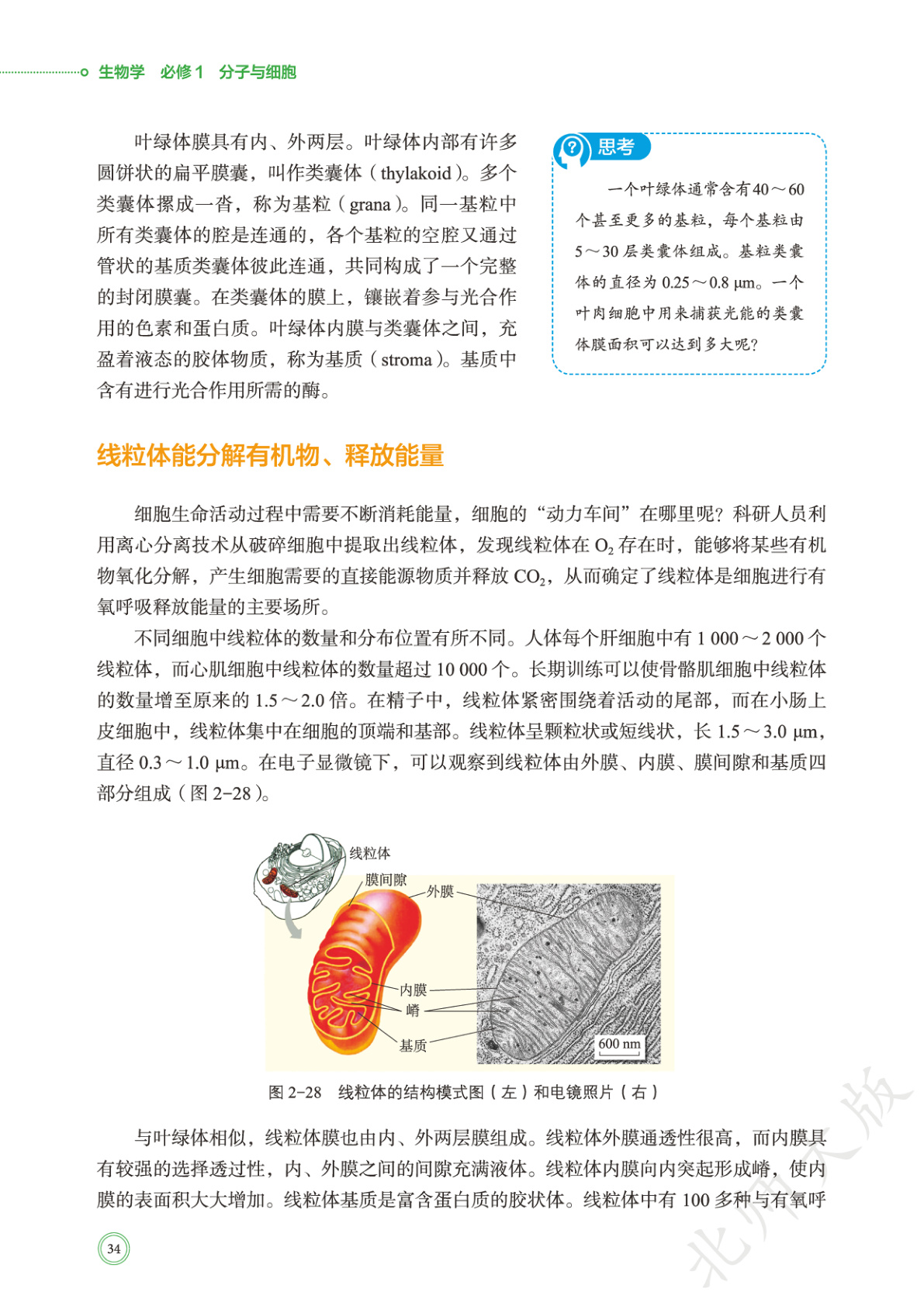 novel_ea0f841cf26d.jpg