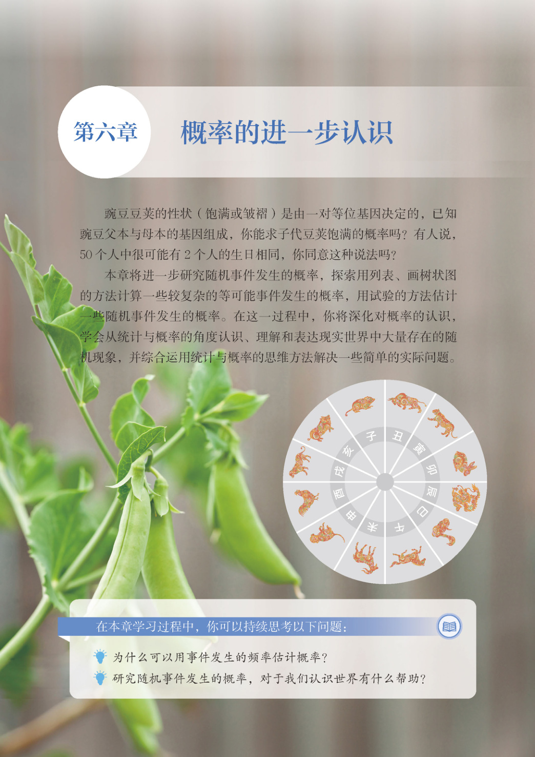 novel_67f88a8dffd2.jpg