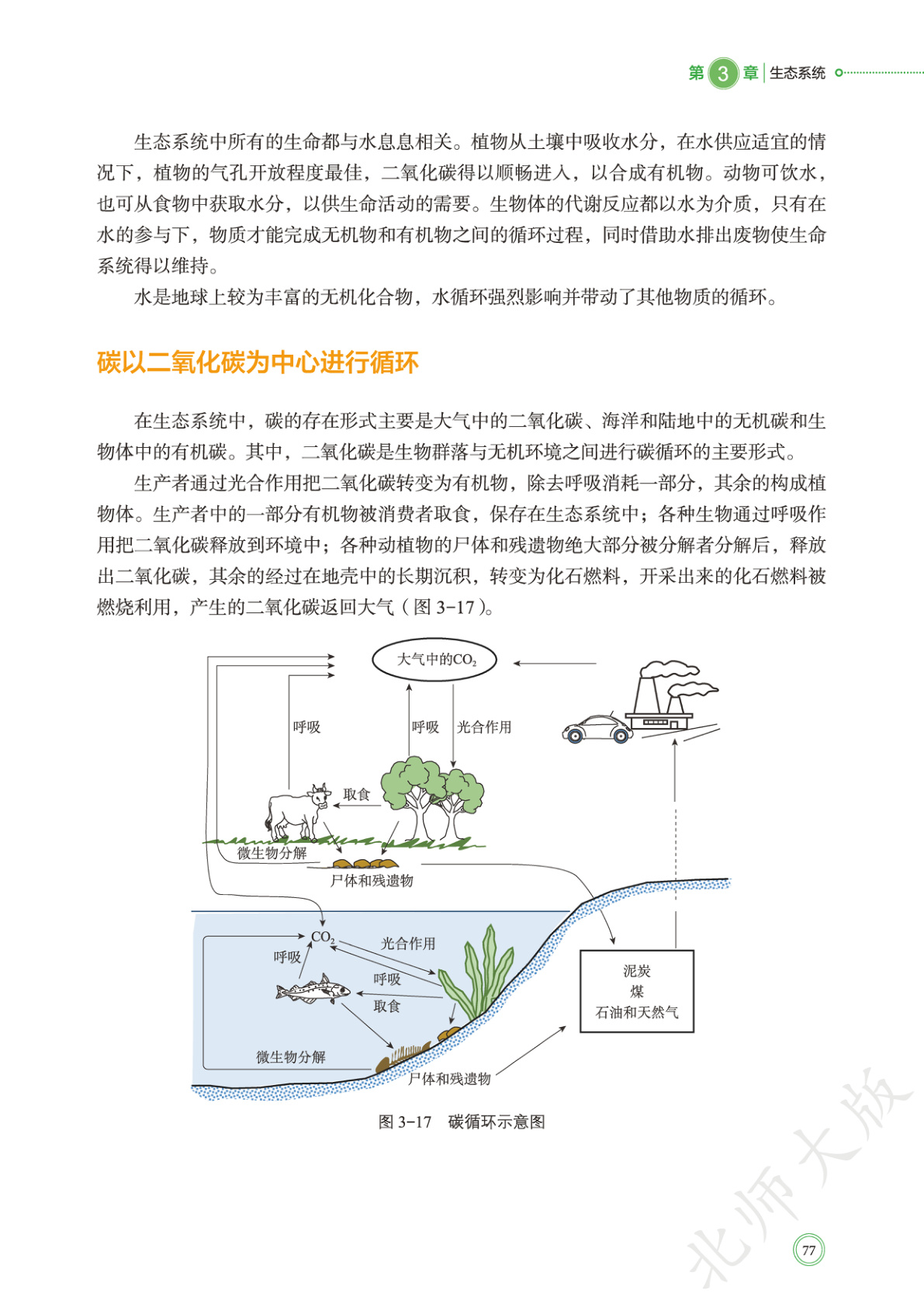 novel_14219638bb7f.jpg
