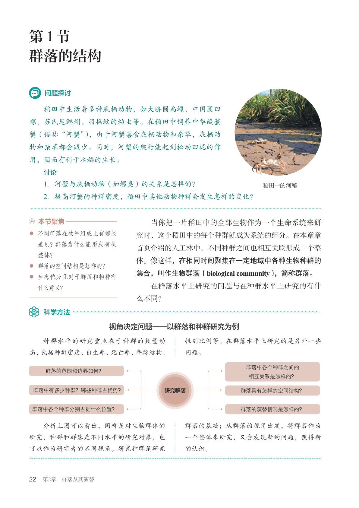 novel_6e6c9d73a20a.jpg