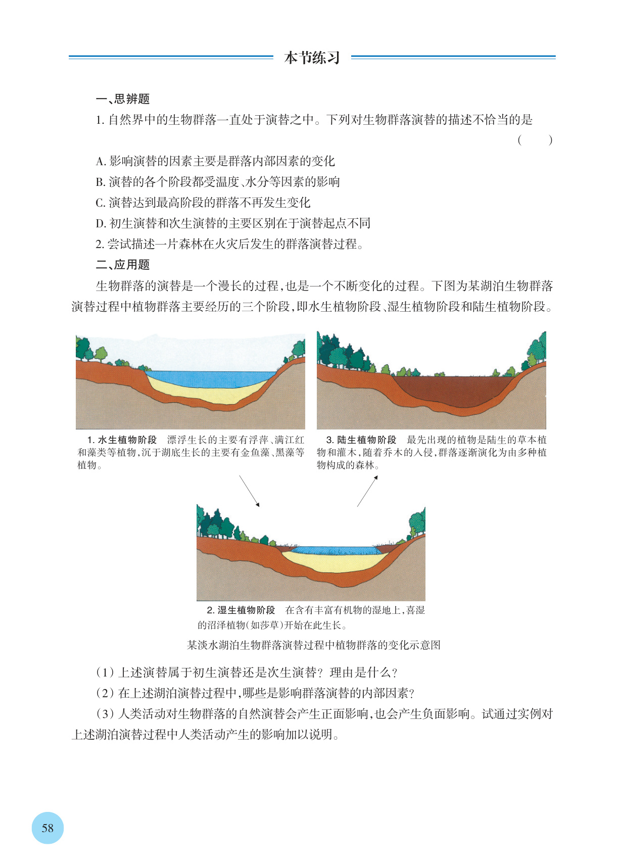 novel_19d6be9b5a92.jpg