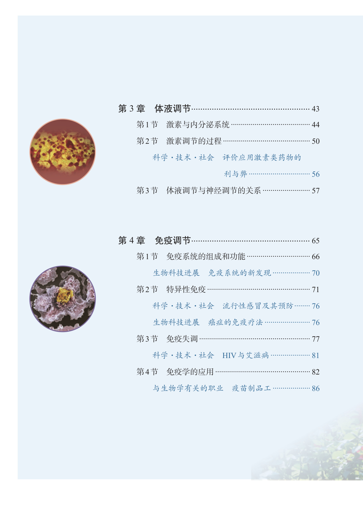 novel_d06593d29ef3.jpg