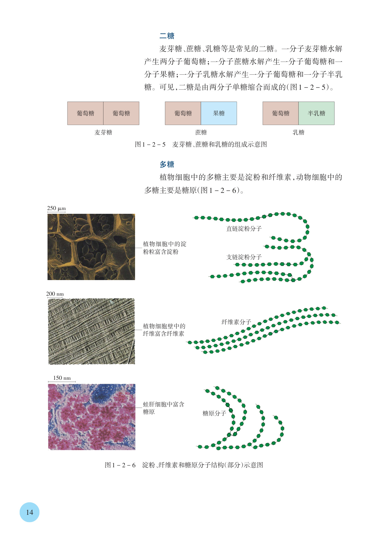 novel_1804970add57.jpg
