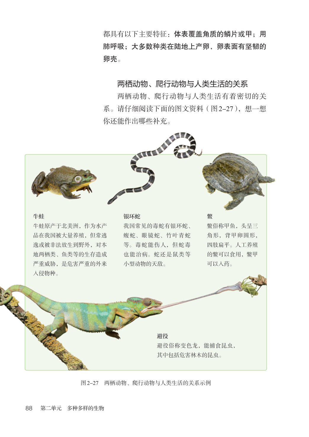 novel_e533db949bc1.jpg