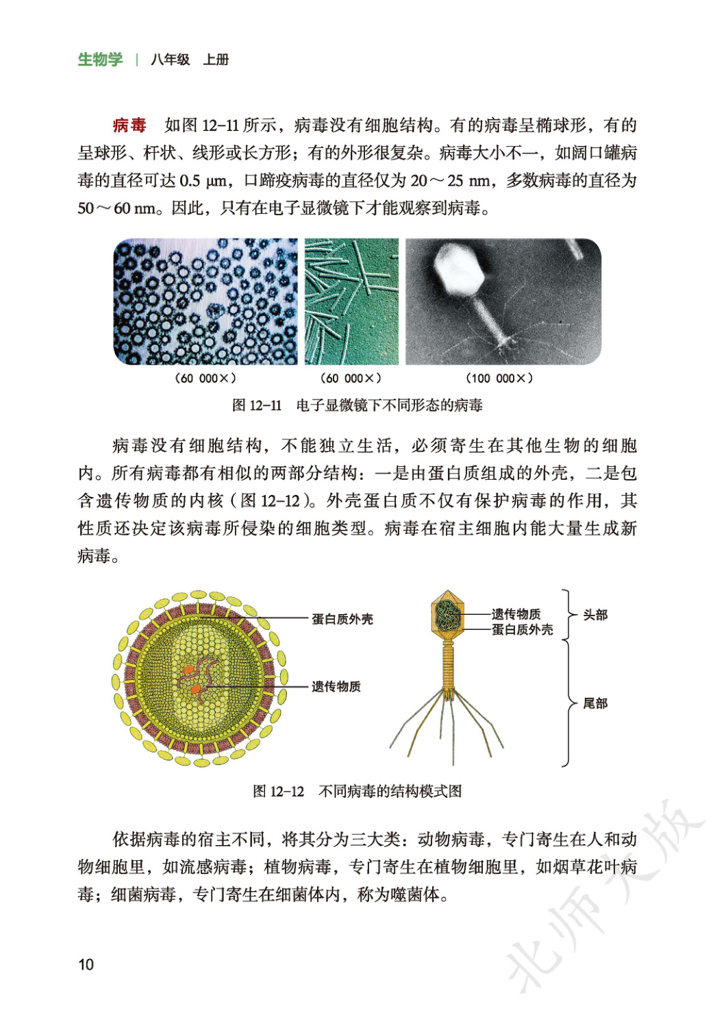 novel_e2a8f7213018.jpg
