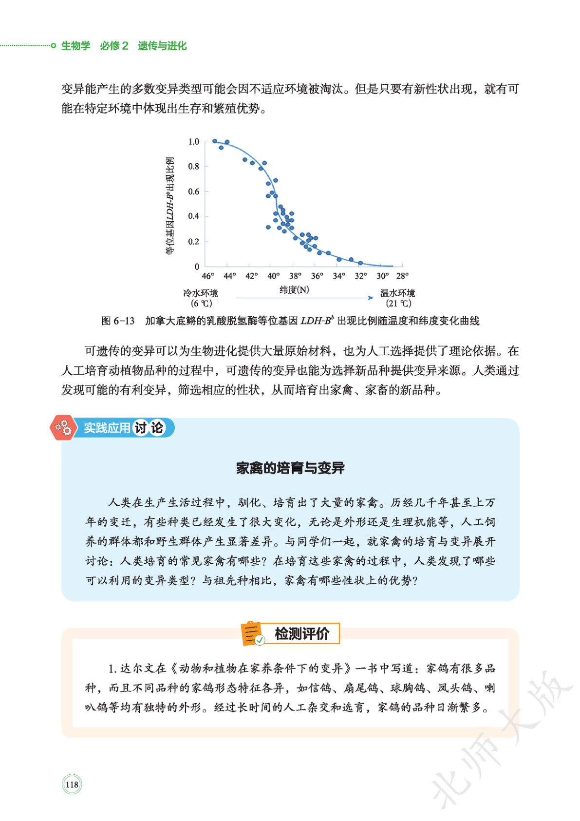 novel_0f4edb3b8a72.jpg