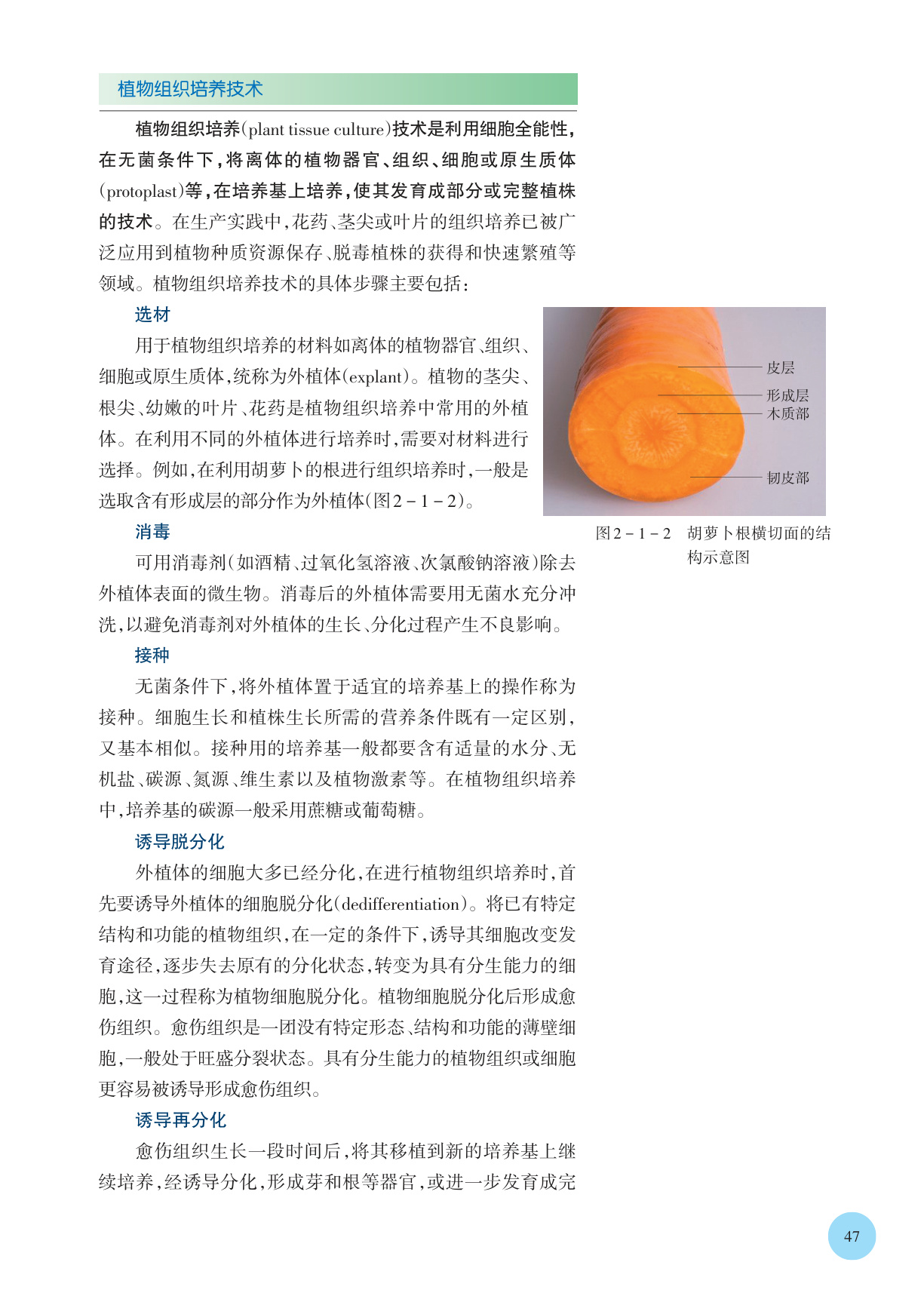 novel_f0cbc8c43c02.jpg