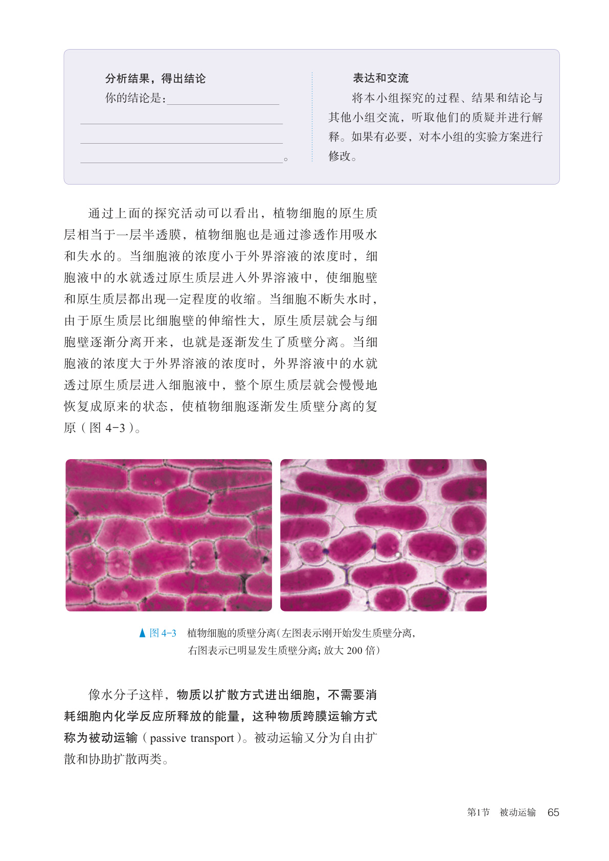 novel_471ca9c2e6d2.jpg