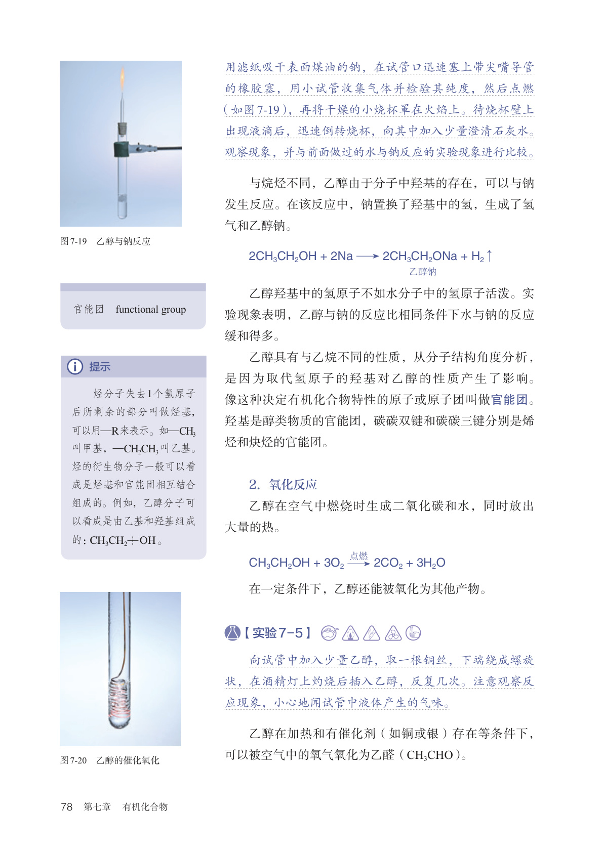 novel_80a8c1d3f60a.jpg