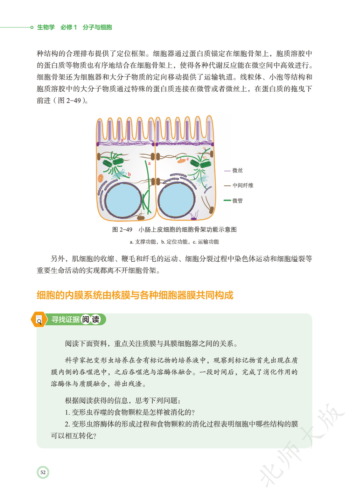 novel_807ea1c6184a.jpg