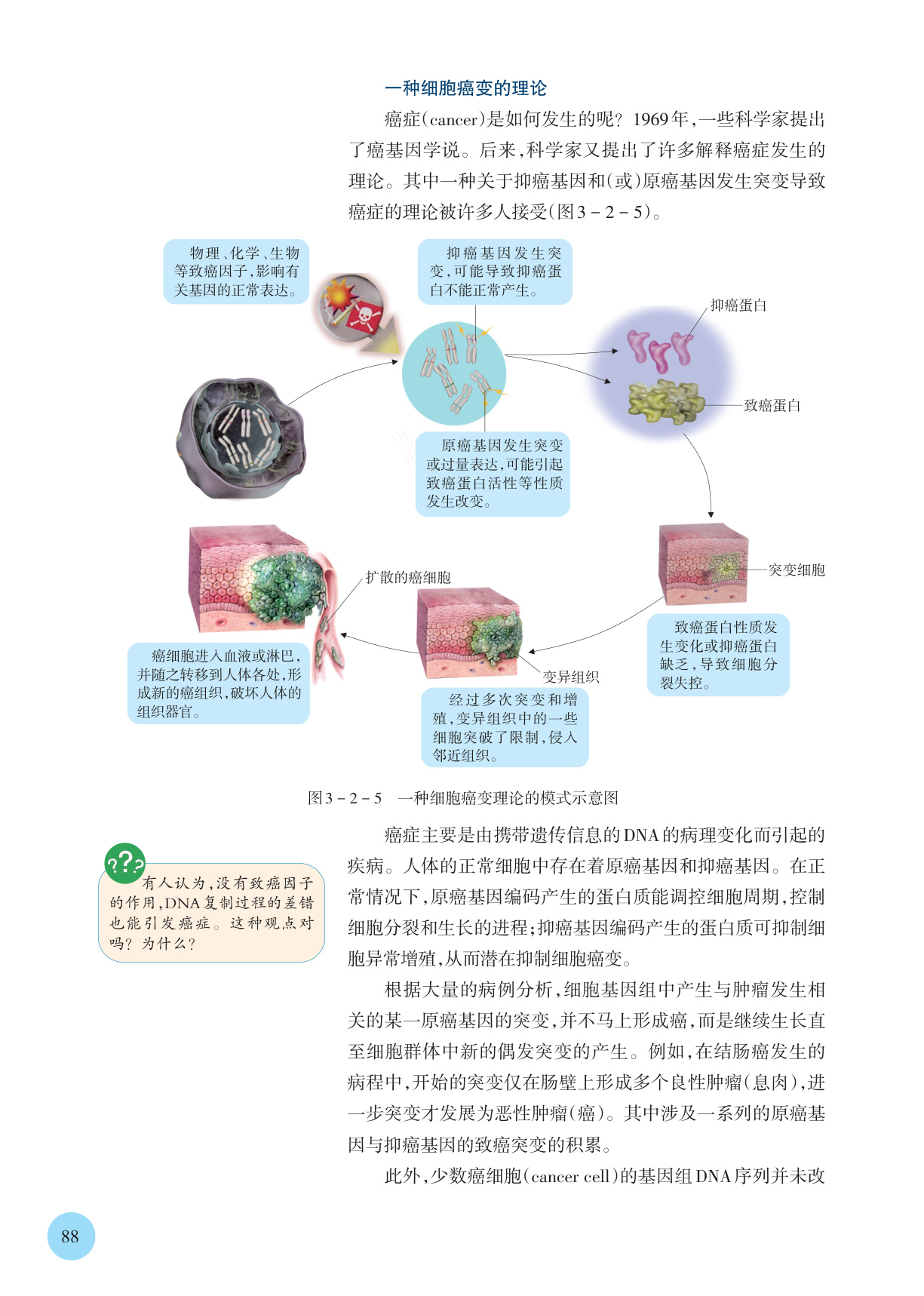 novel_84f442b4043e.jpg
