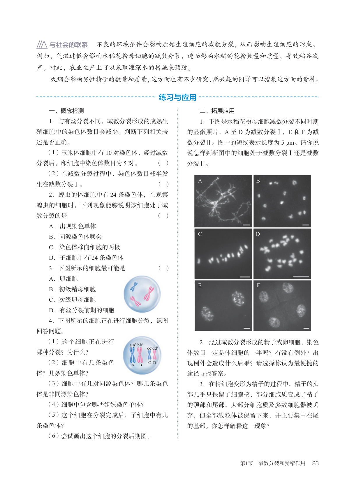 novel_c9be59a9e4b1.jpg