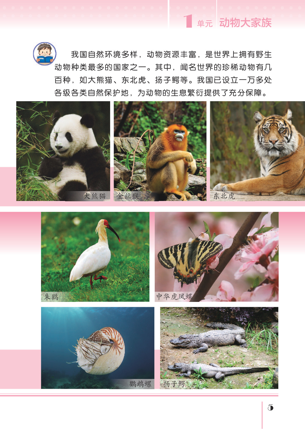 novel_0562a10f4ff7.jpg