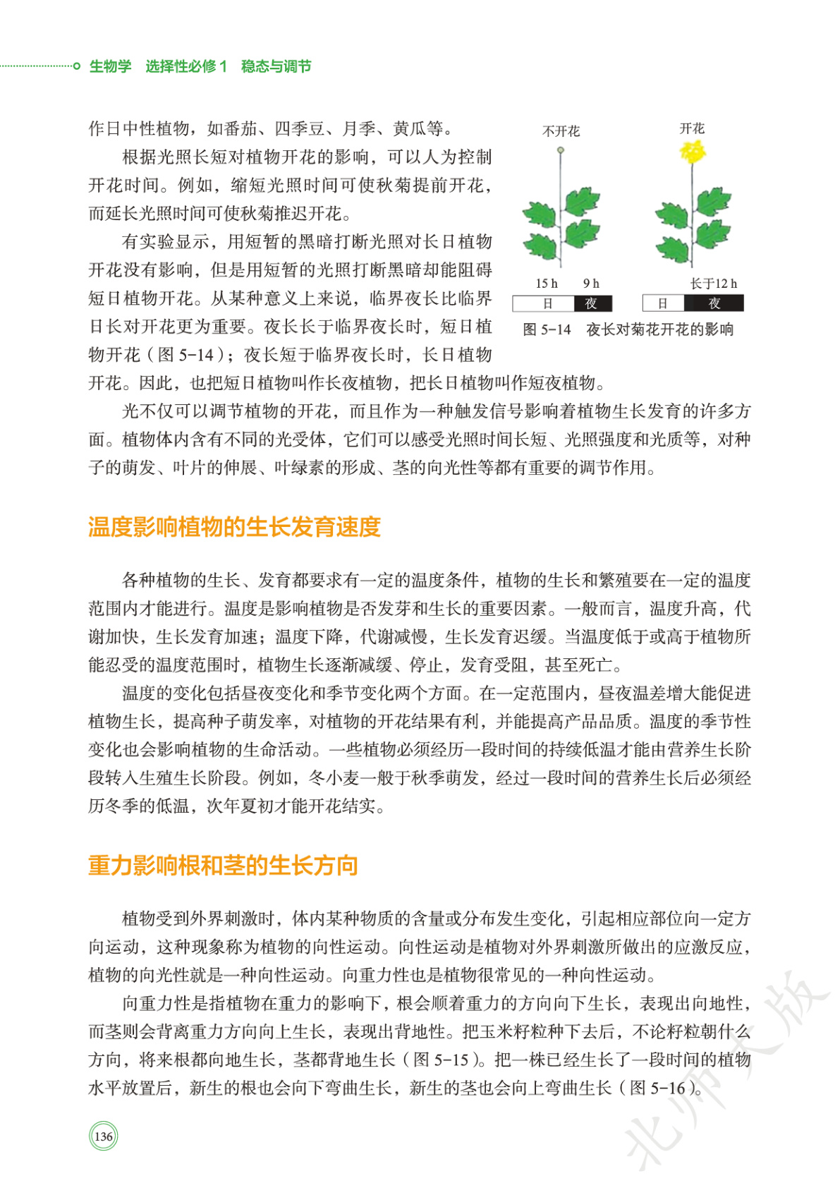 novel_3b211373c21b.jpg