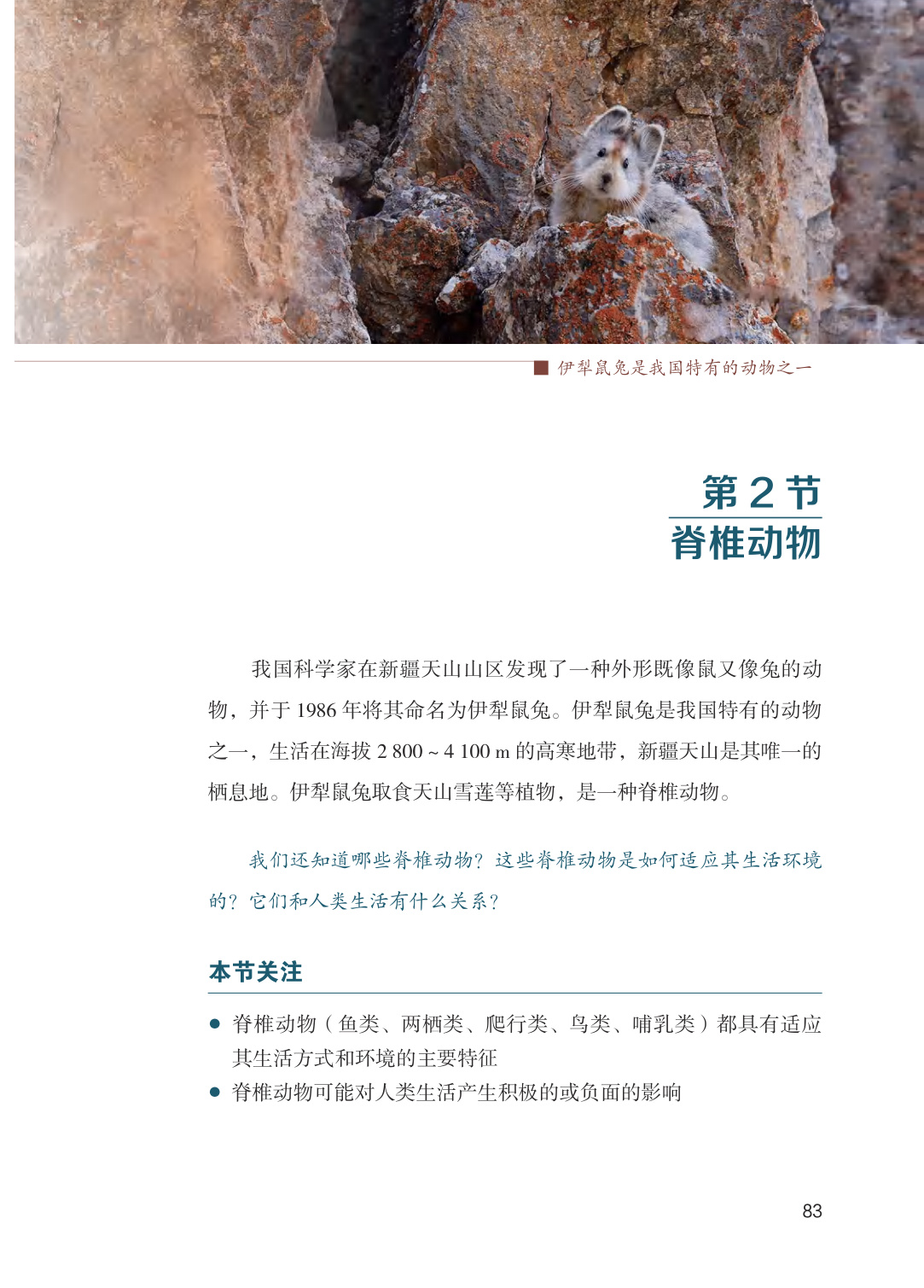 novel_b79aa67b33fb.jpg