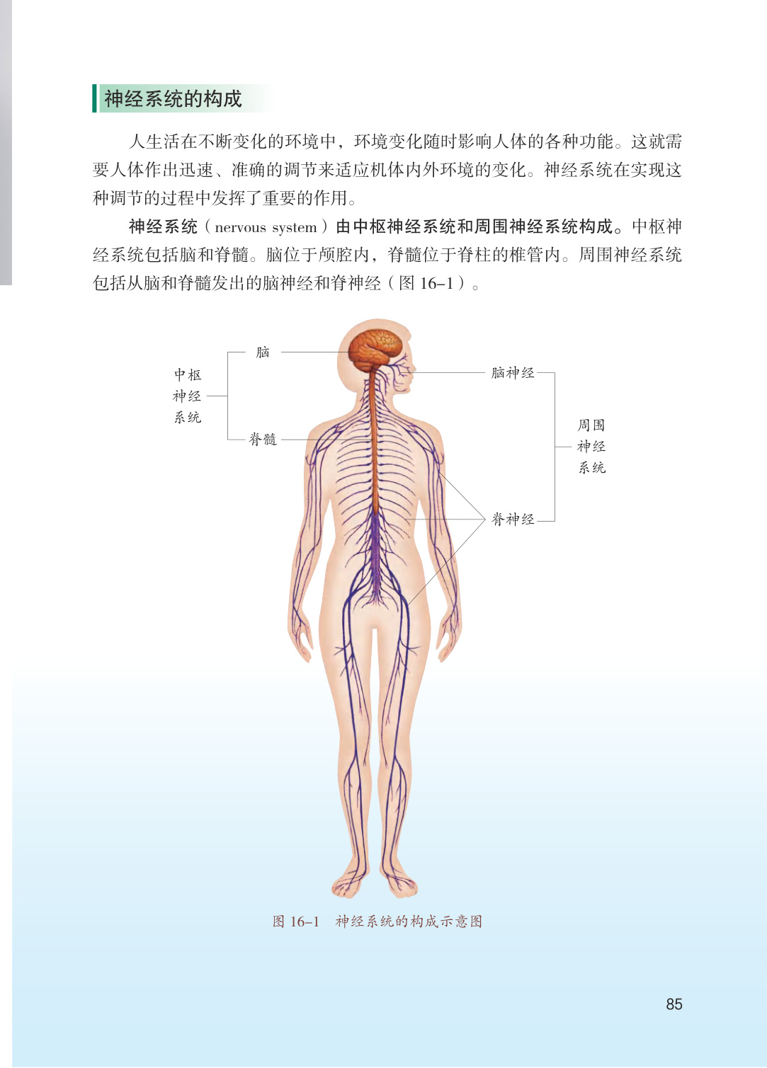 novel_affcf61a6c0d.jpg