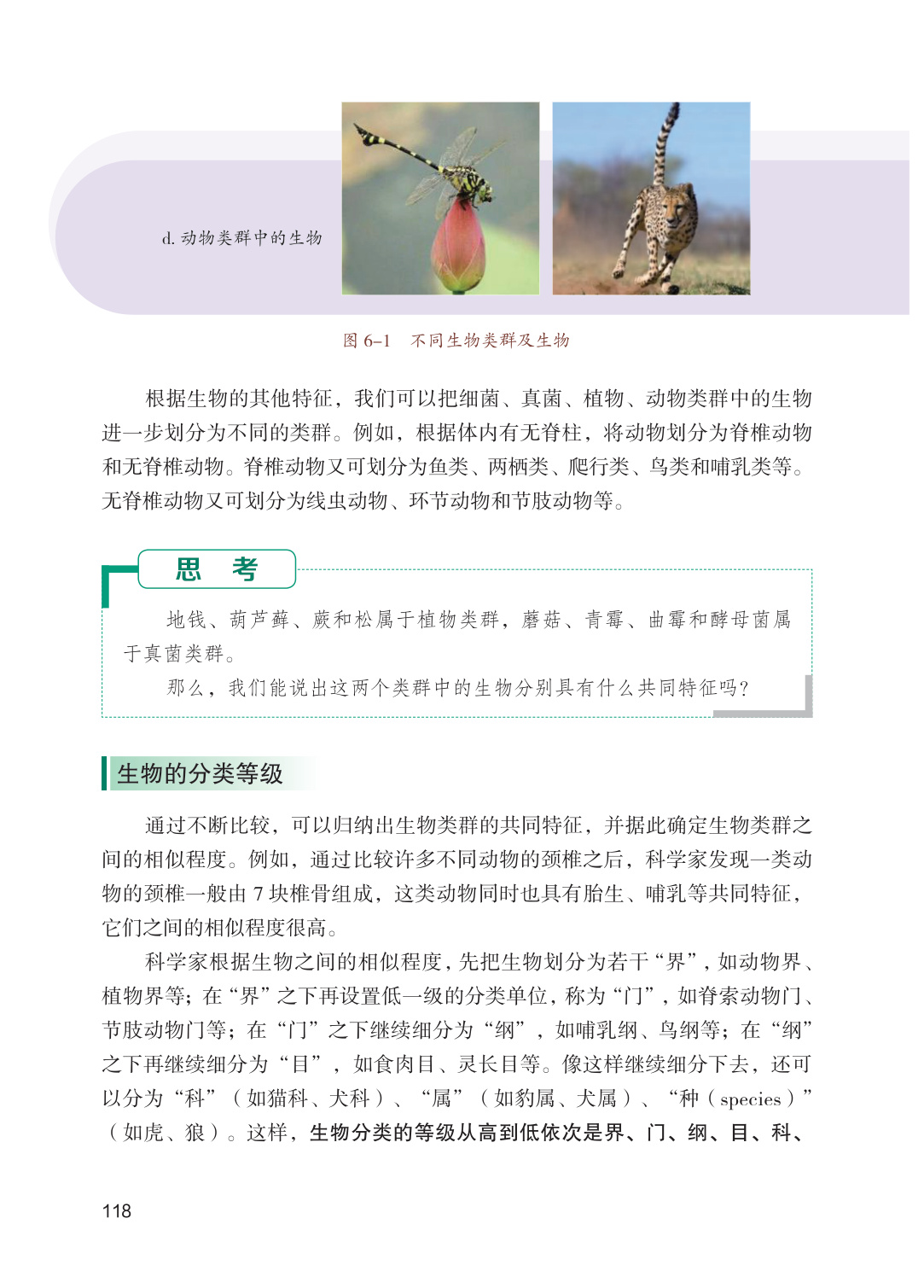 novel_8ea15dfc5c3e.jpg