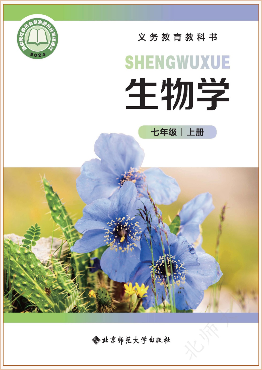 novel_66871ea0630f.jpg