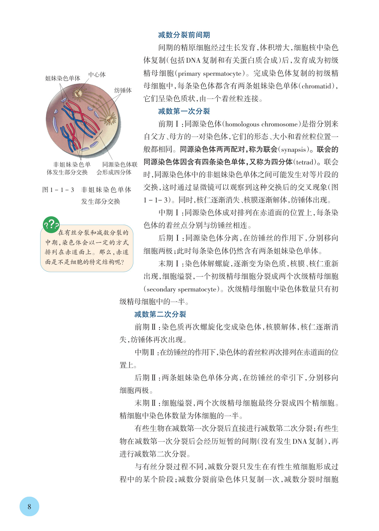 novel_1f1bd6d868ce.jpg