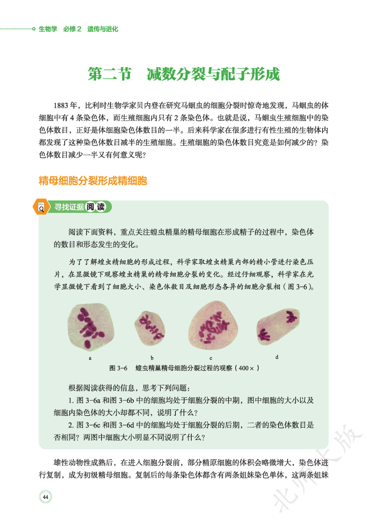 novel_c711c44dc9a1.jpg