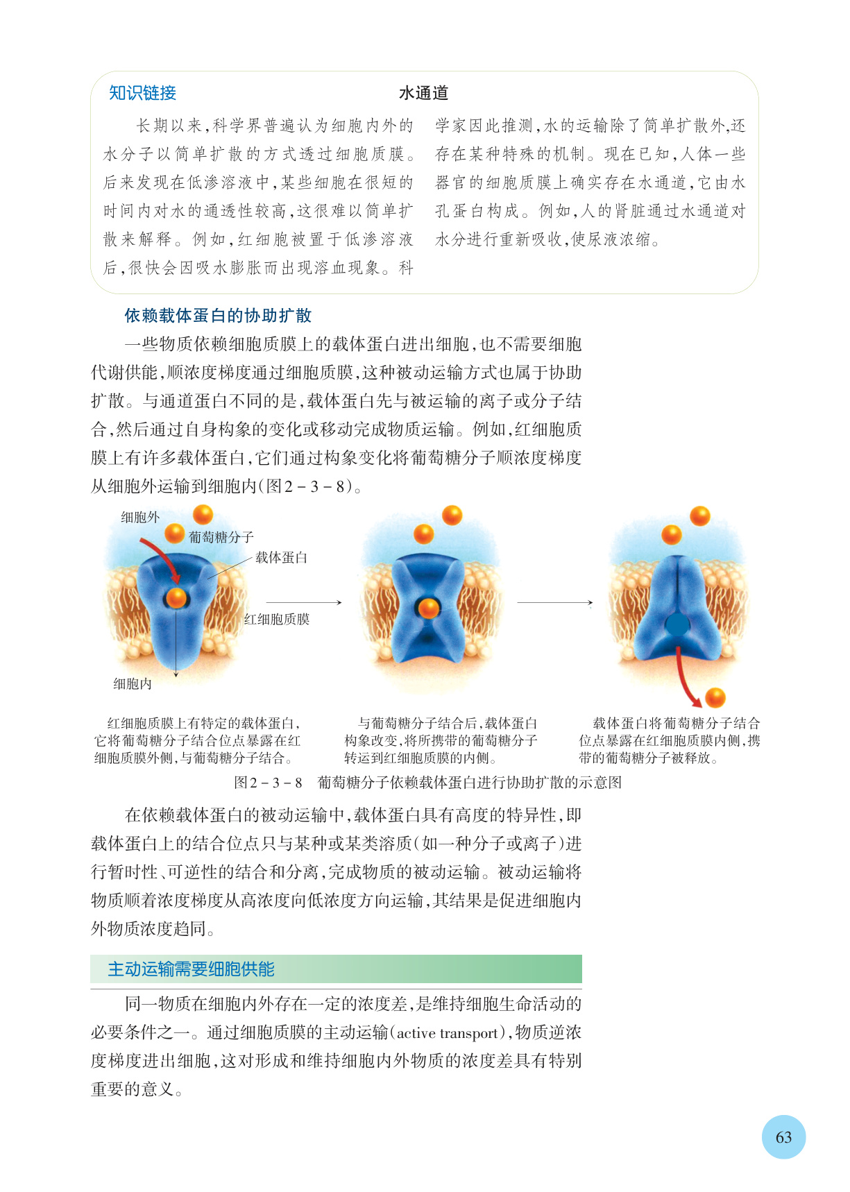 novel_af6ca6d0913b.jpg