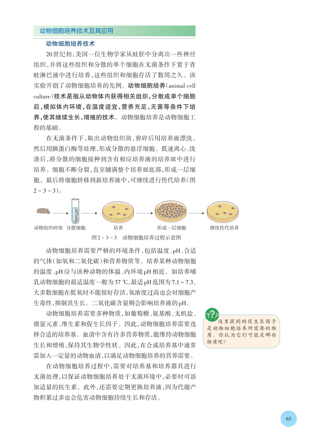 novel_849dc5b621e9.jpg