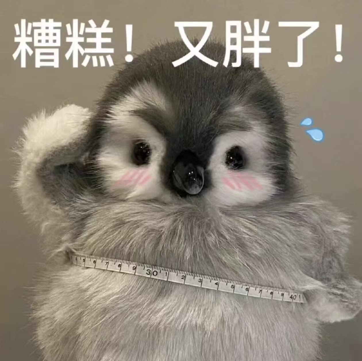 又胖了.jpg