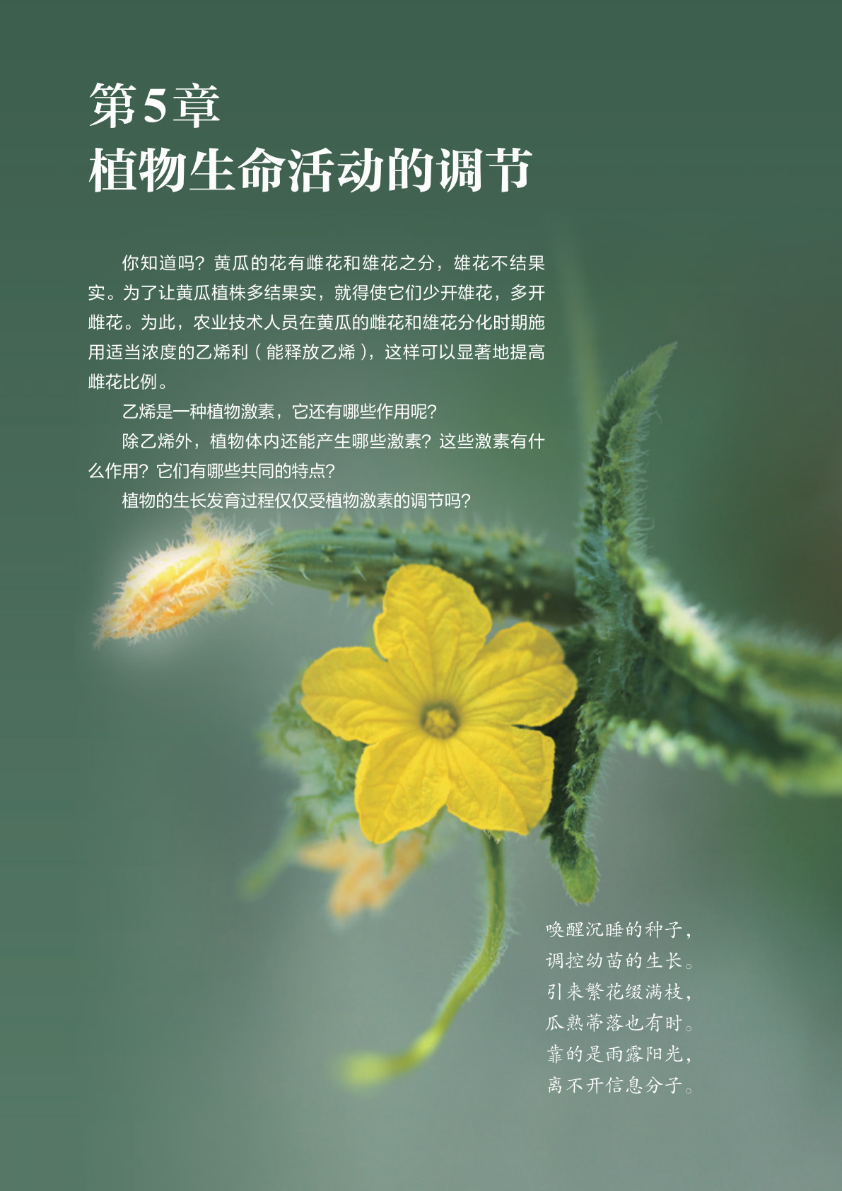novel_d29e236702f4.jpg