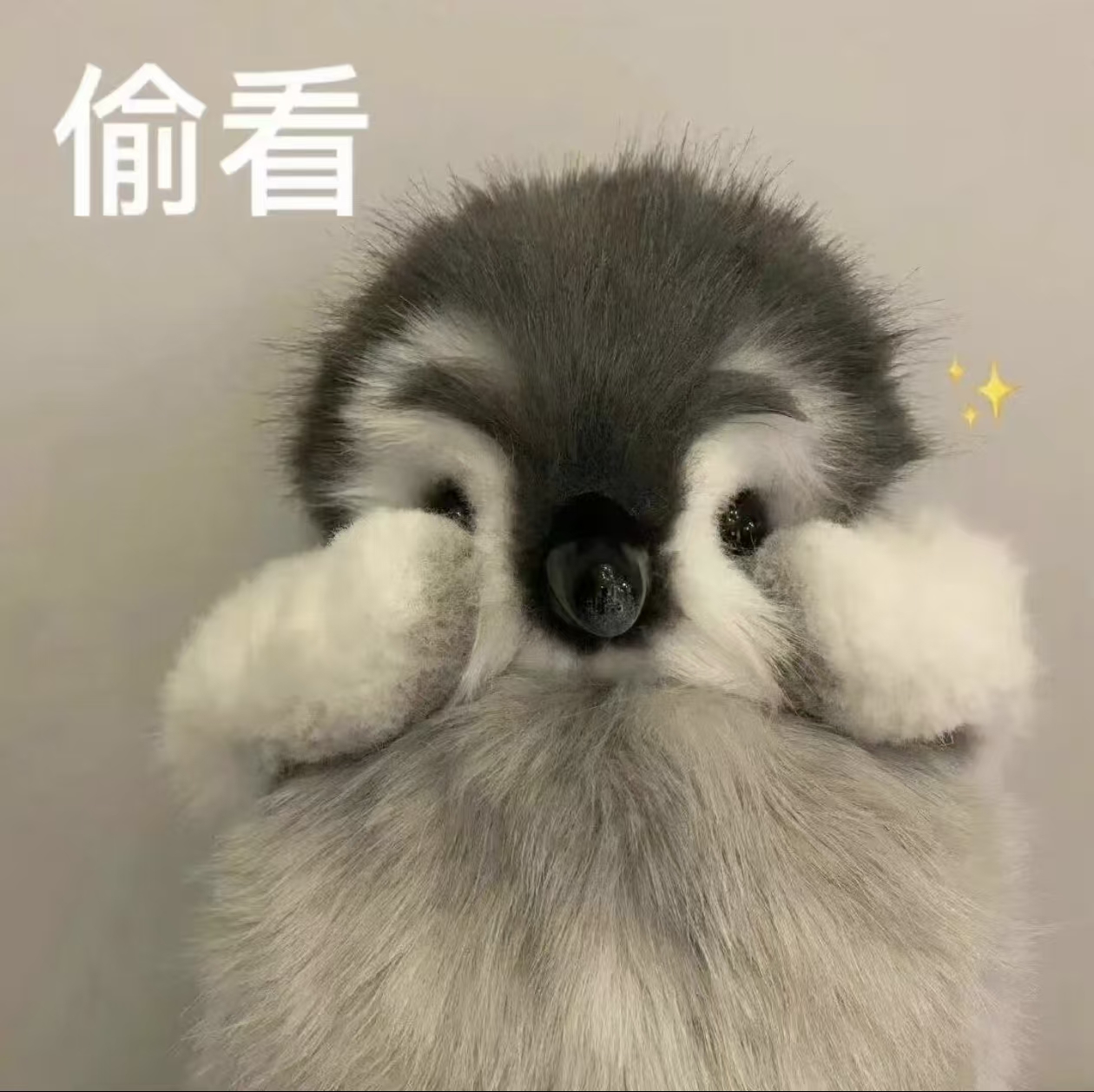 偷看.jpg