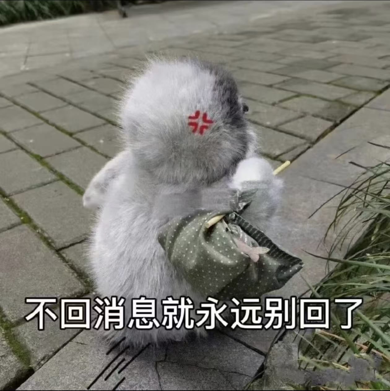 不回信息就永远别回了.jpg