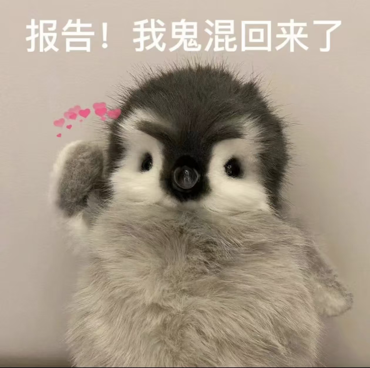报告！我鬼混回来了.jpg