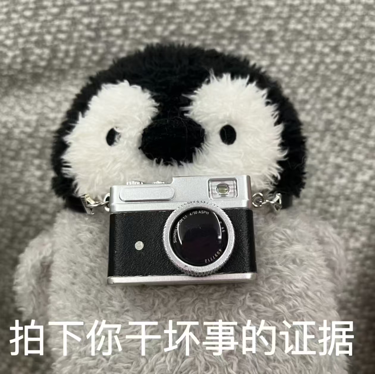 拍下你干坏事的证据.jpg