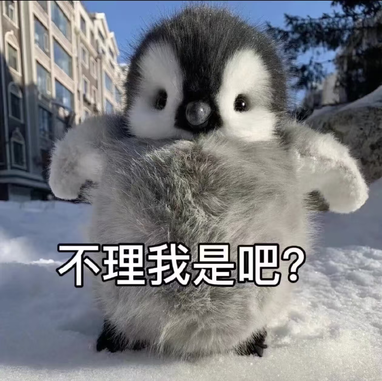 不理我是吧？.jpg