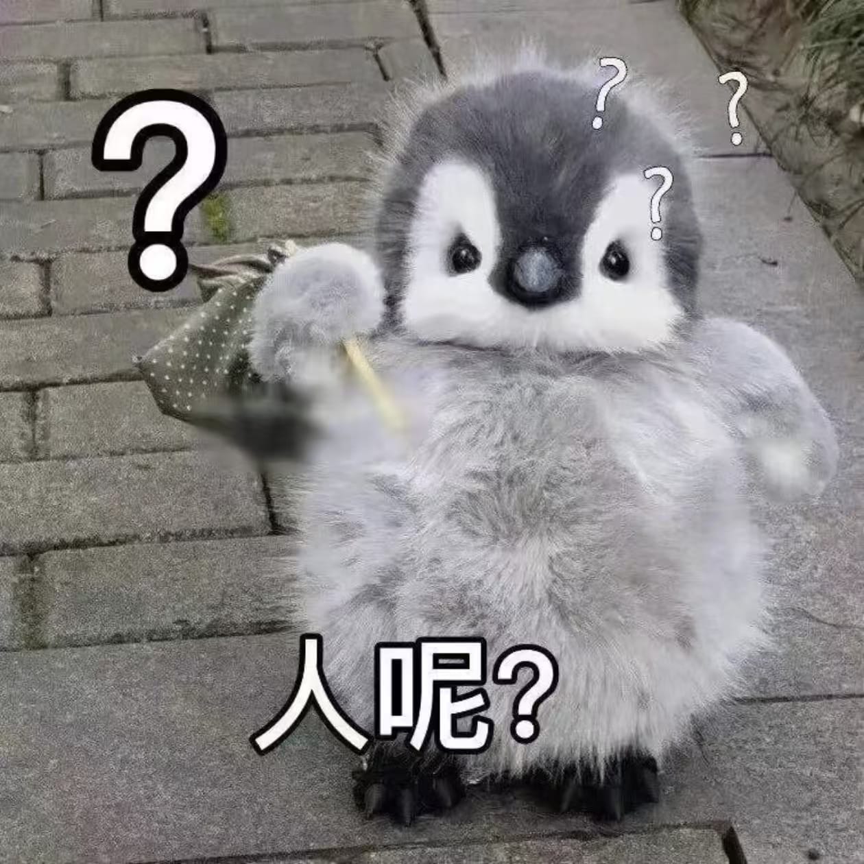 你人呢.jpg