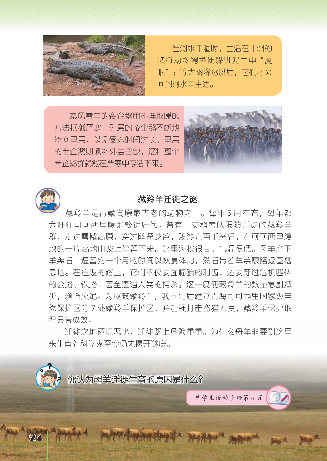 novel_854ac36bdf76.jpg