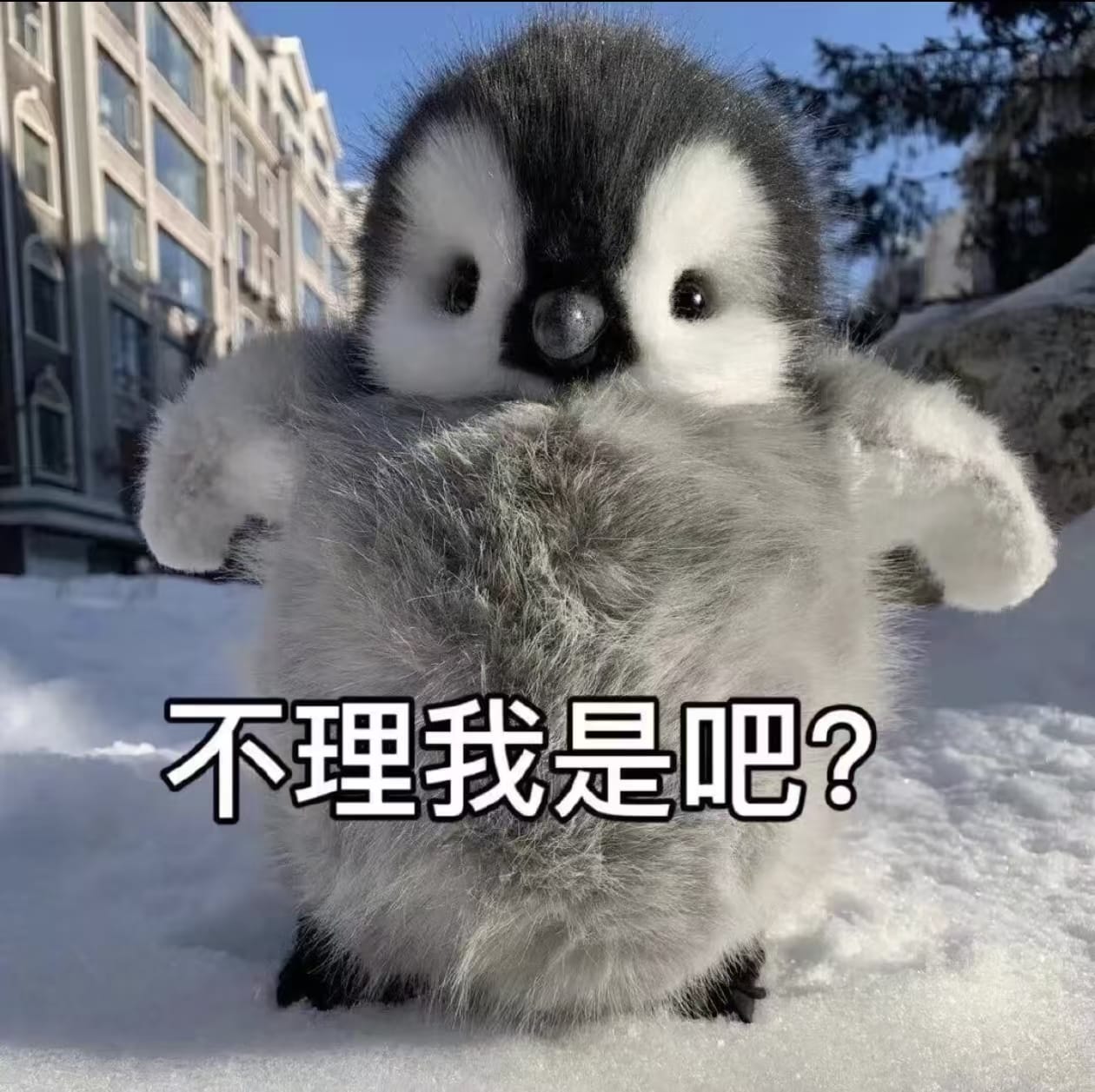 不理我是吧？.jpg