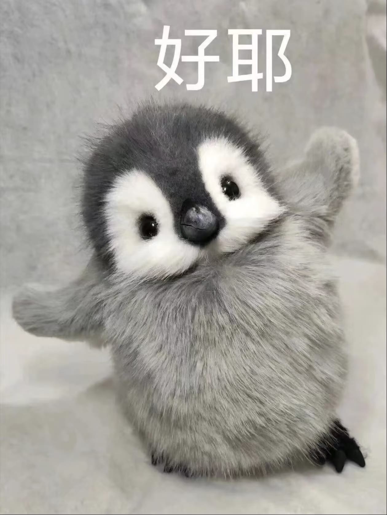 好耶.jpg