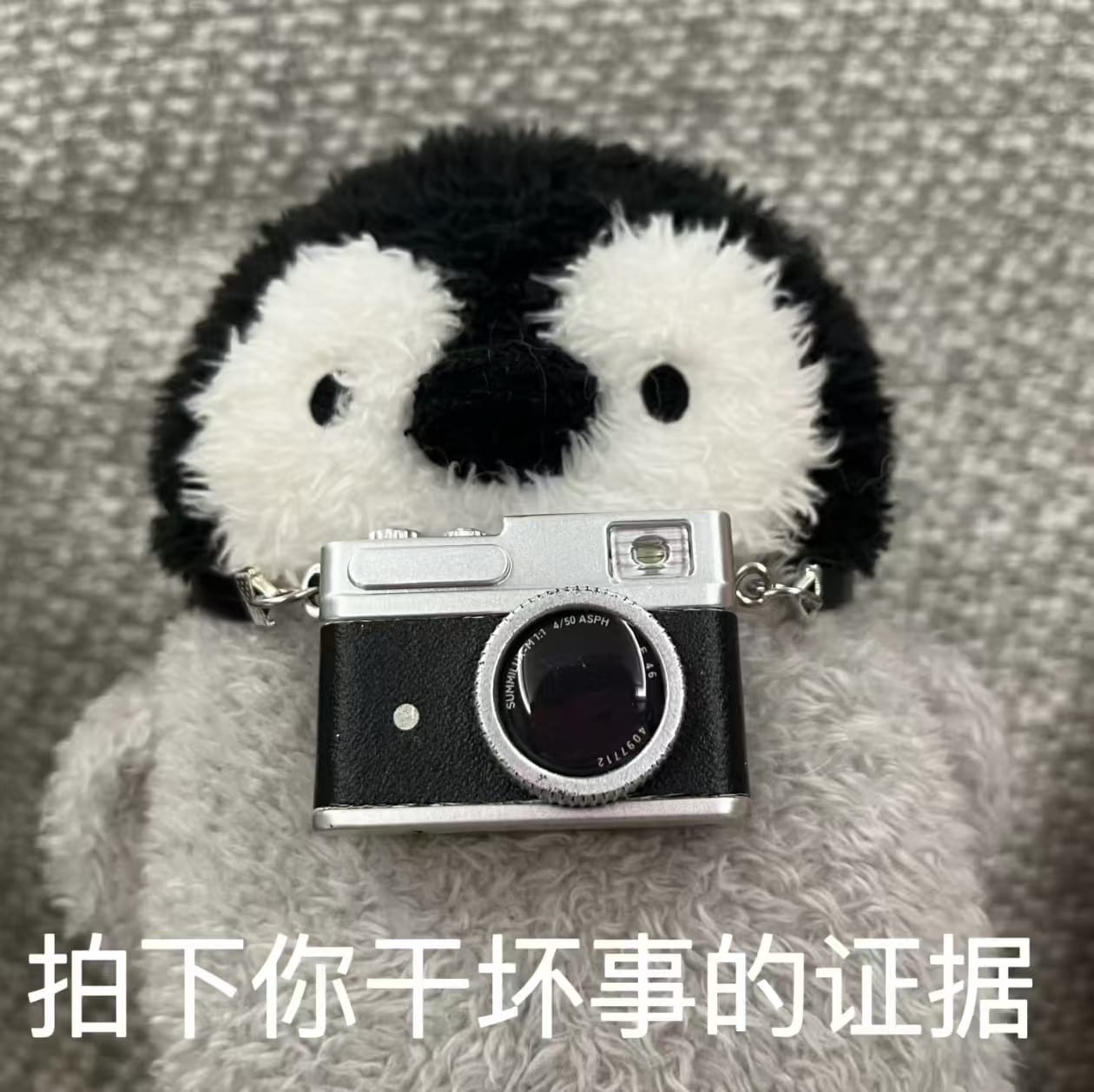 拍下你干坏事的证据.jpg