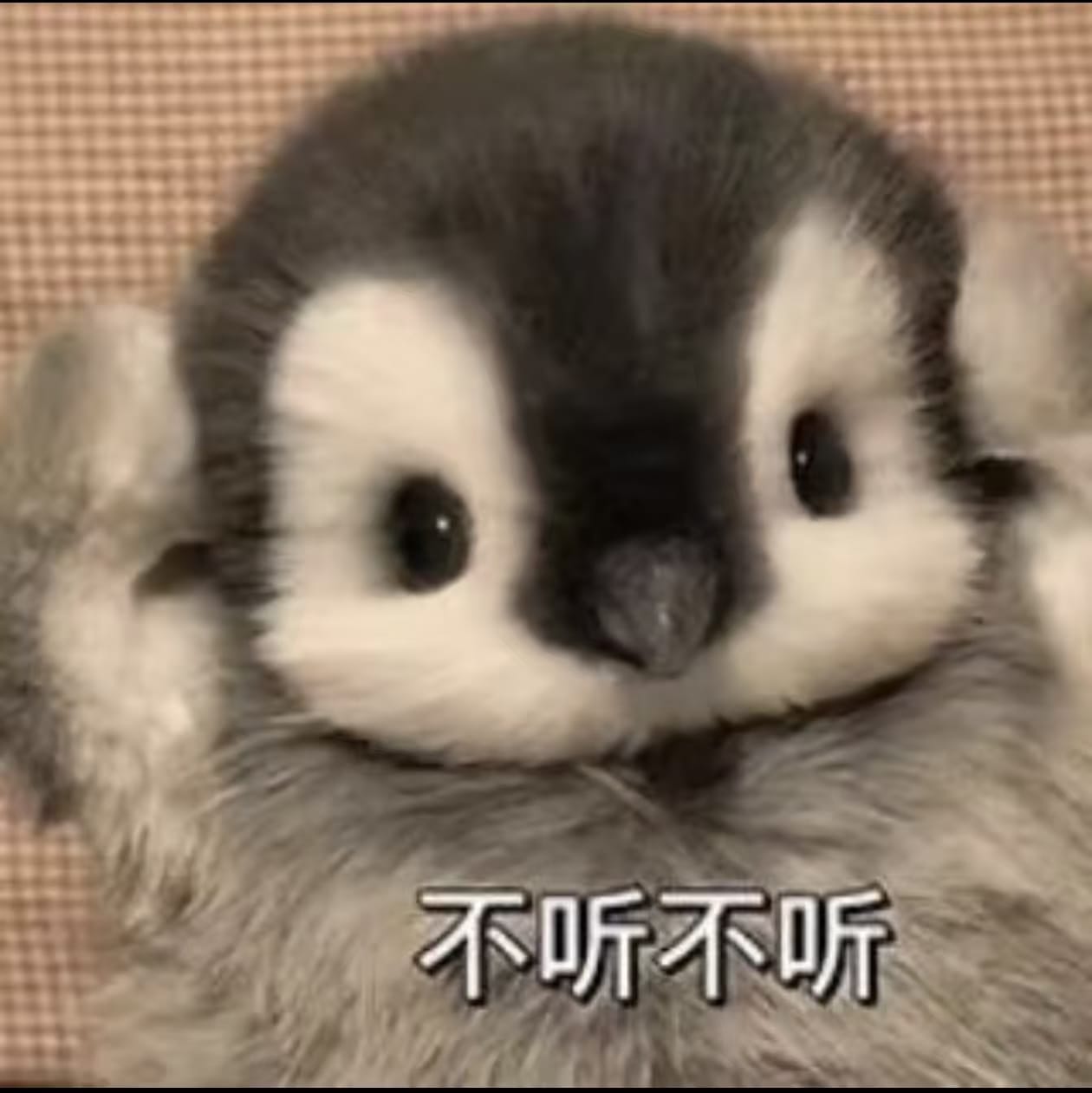 不停不停.jpg