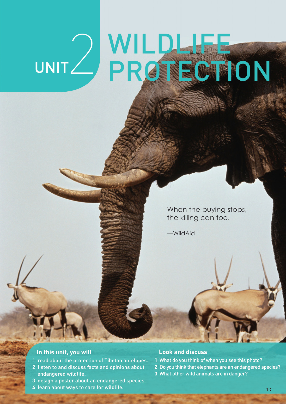 novel_53f81f7e6bc3.jpg