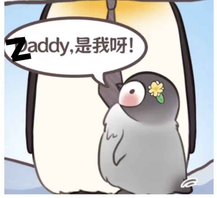 找Zaddy.jpg