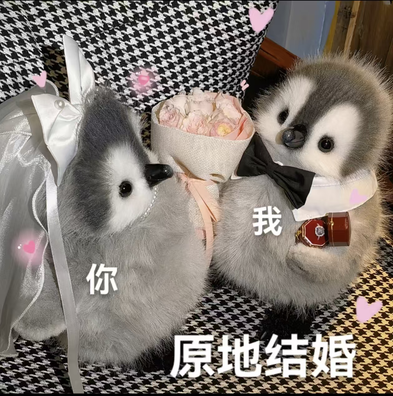 原地结婚.jpg