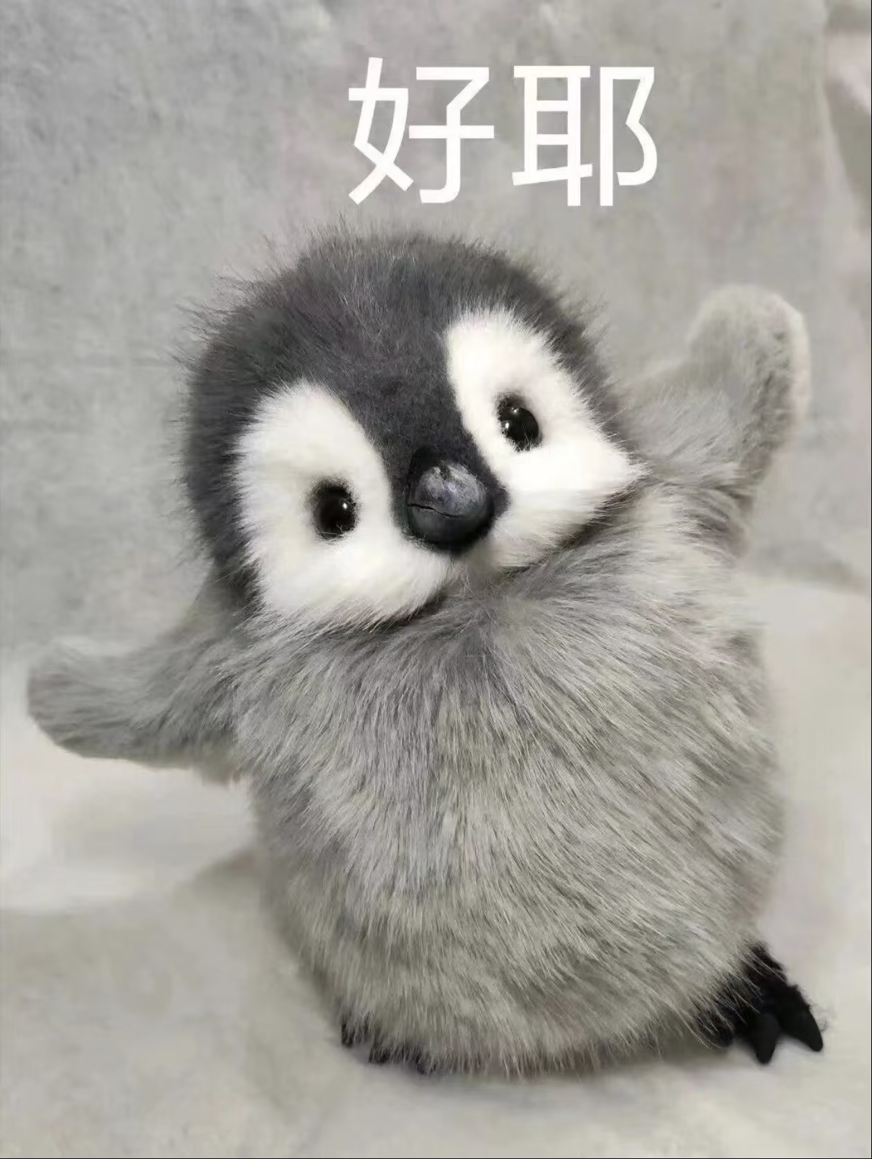 好耶.jpg