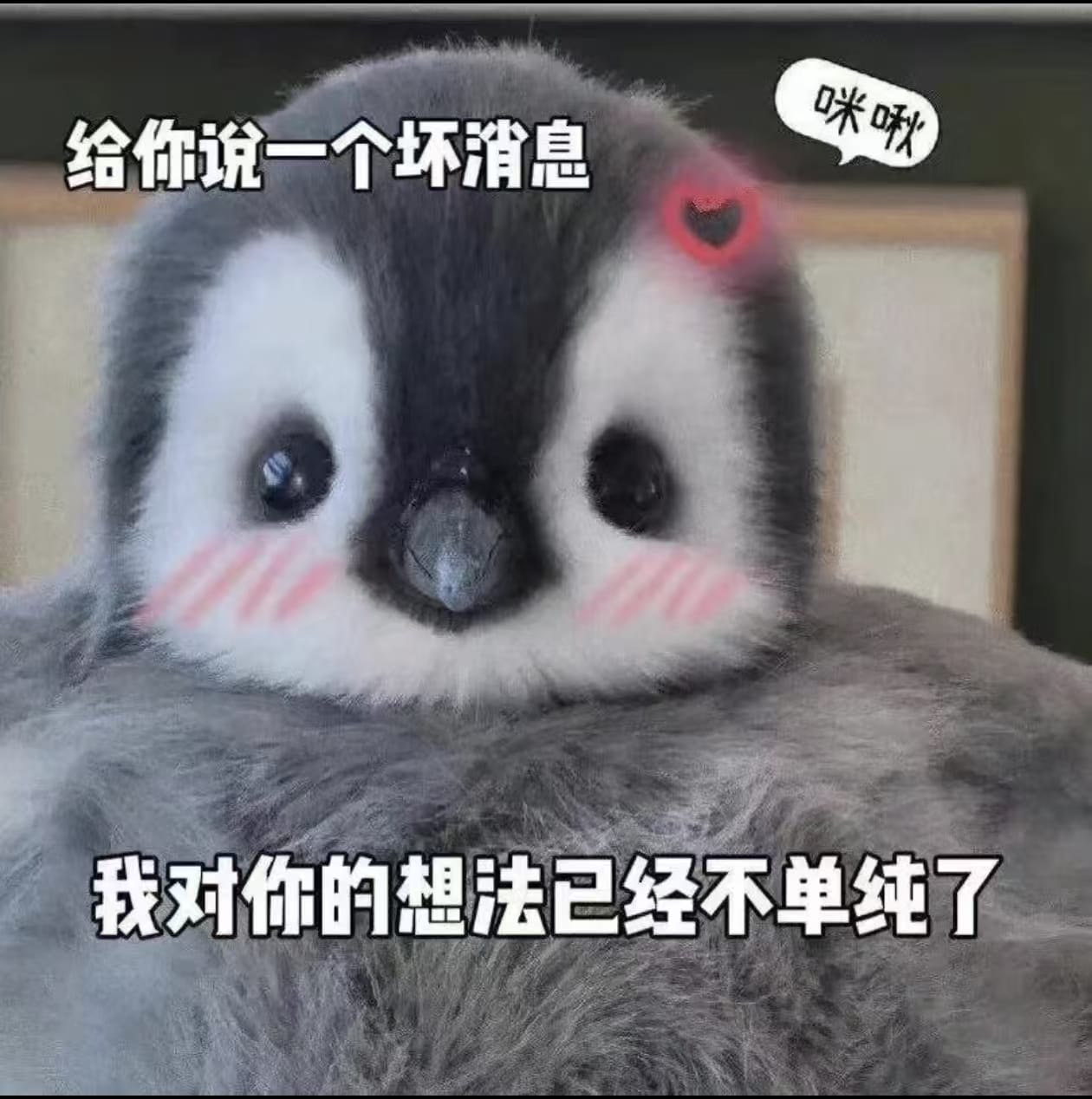 邪恶.jpg