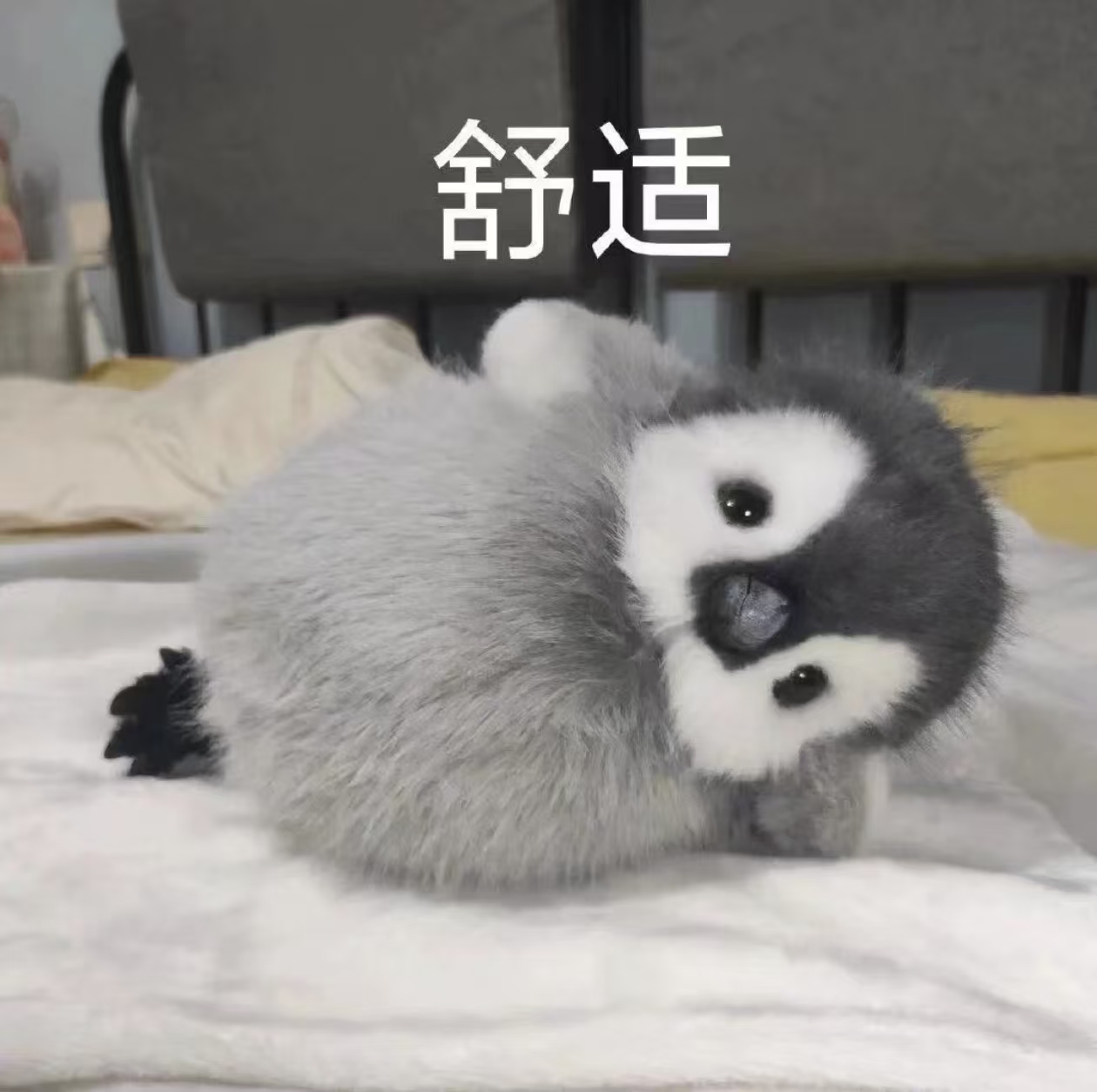 舒适.jpg